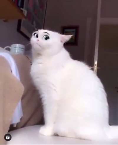 Disney Filter