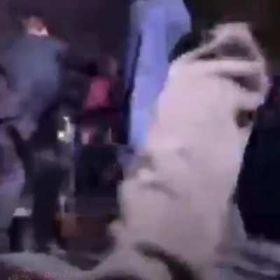 Rapper rod wave falls through stage