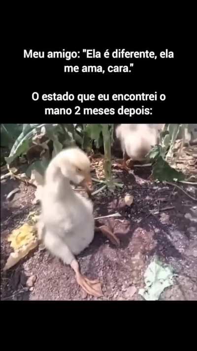 Eu_nvr