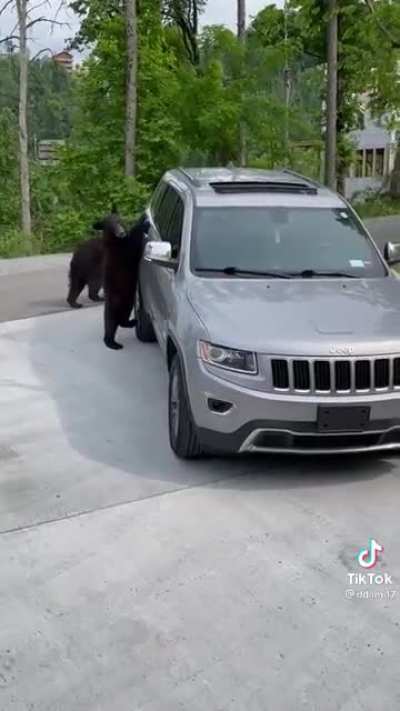 It there car now