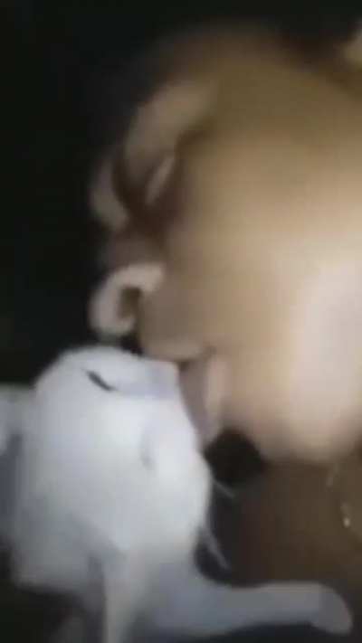 Okay video is a little more than weird. But what is this song? I've been trying to find it for like a month.