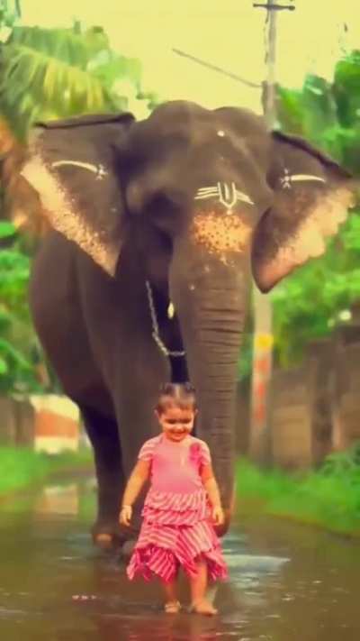 Elephants are One Of the Most Caring &amp;amp; Lovable Animals :)