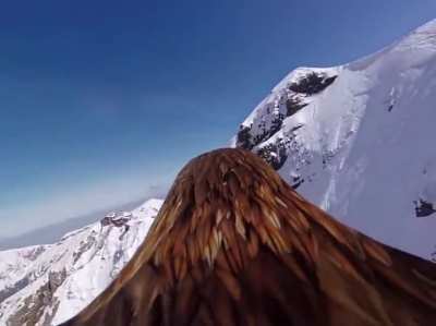 A rare deleted scene shows Gandalf's POV after the escape from Orthanc