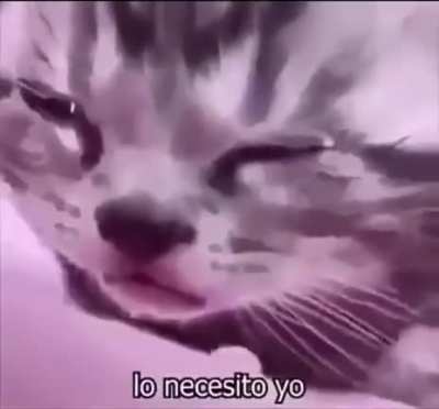 Por que no tres basura amarillo