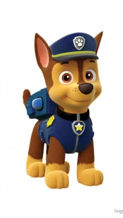 Chase is on the case!