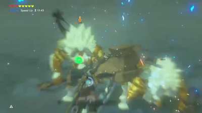 [BoTW]A master sword COMBO