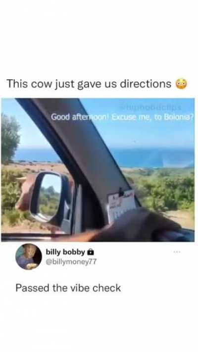 &ldquo;This way!&rdquo;