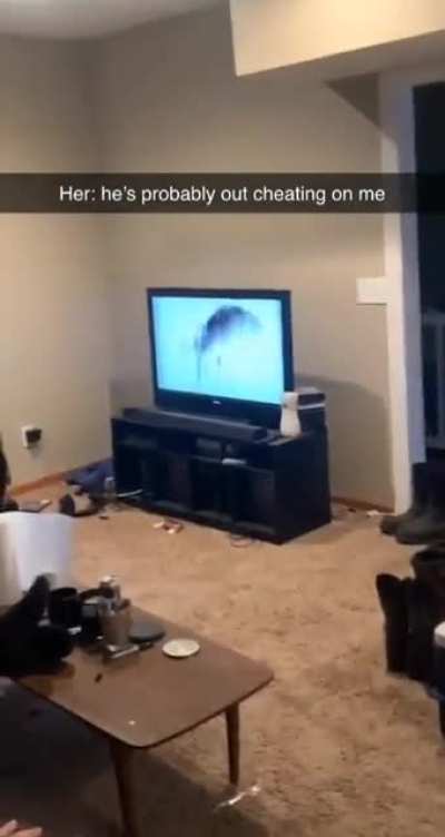 Males are all cheaters