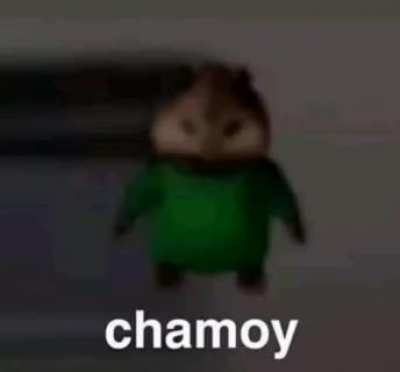 CHAMOY 🤝