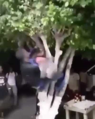 La raza m&aacute;s interesante