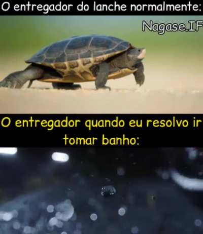 Tortuga