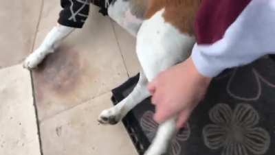 "Like skakeing your leg~~"