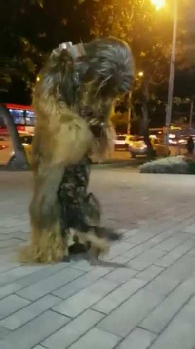 Que coisa mais fofa e aleat&oacute;ria ao mesmo tempo kk