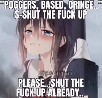 &ldquo;poggers based cringe&rdquo; ANYME GIRL TELLS U TO STFU