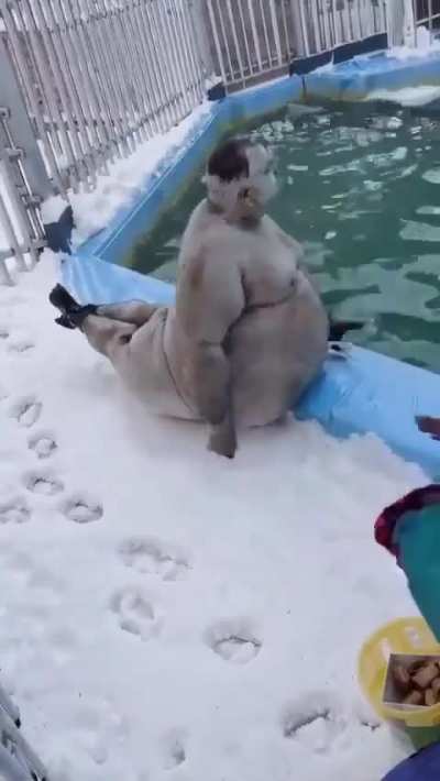 Me and my tenant enjoying our time at the public pool! 😄 What do you guys think?