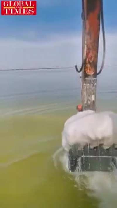 Forbidden sea merengue