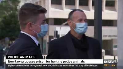 ABC News 
