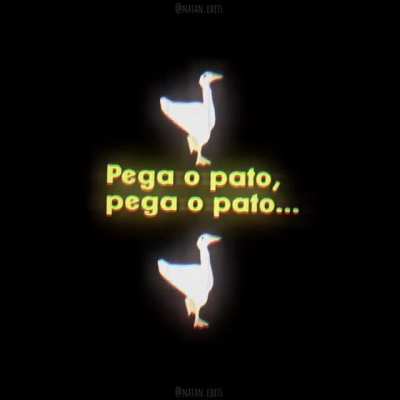 🦆🦆