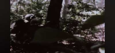 Combat footage from Vietnam War (music from original video)
