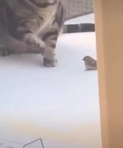 Fat fuck