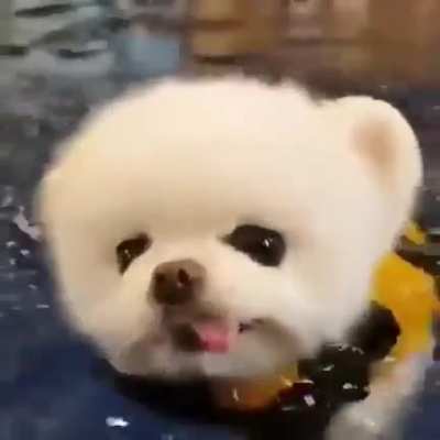 First Swim