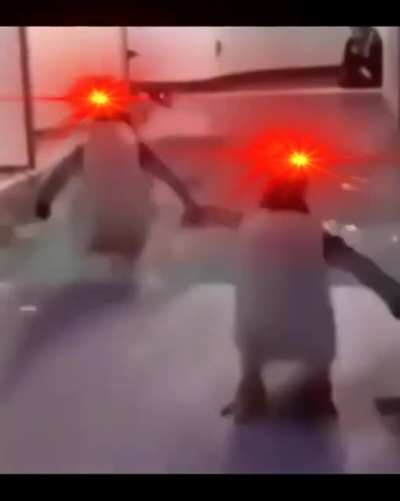 "Linux is only for programmers and hackers and won't work properly"