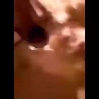 .8