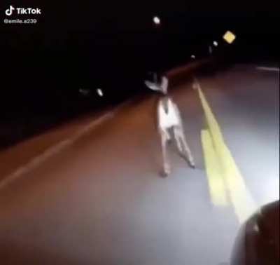 Perfectly cut stupidity