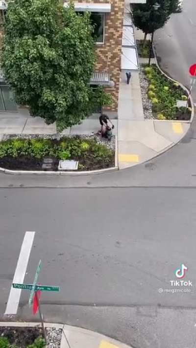 Straight up menace in Seattle
