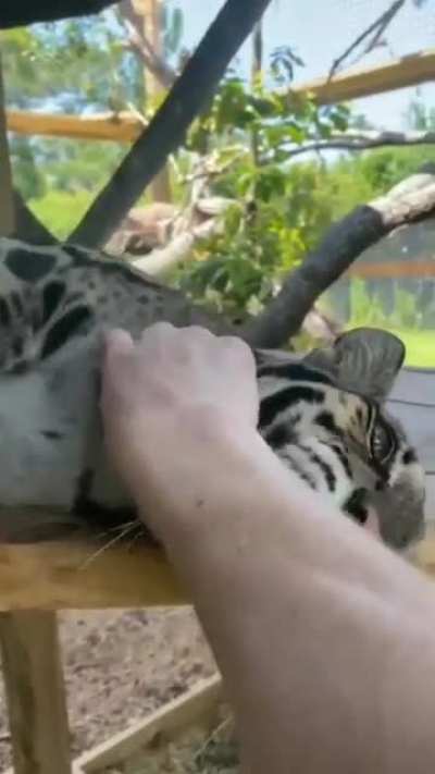 :3