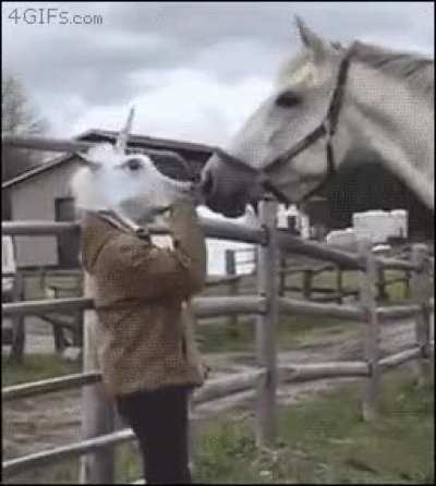 Love at first sight