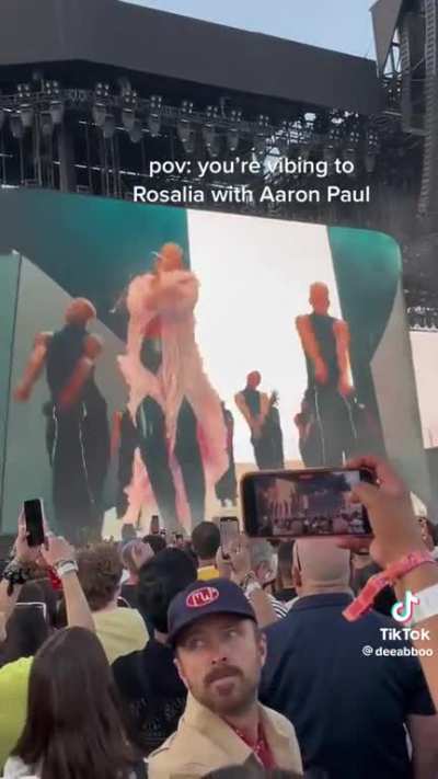 Aaron Paul spotted during Rosalia&rsquo;s set at Coachella