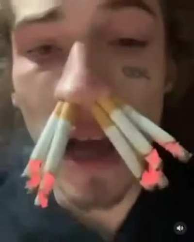 🚬🚬🚬
