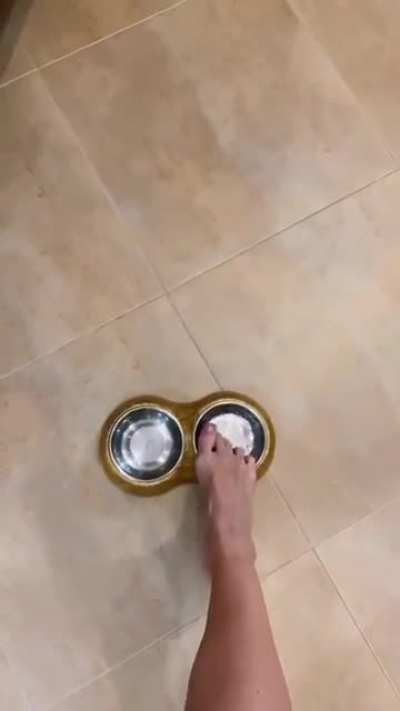 Получай ответоЧКу!