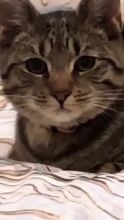 You want food?