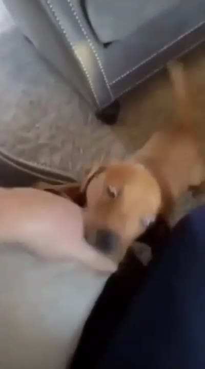 Must nibble!