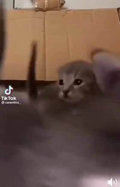 AHHHH-