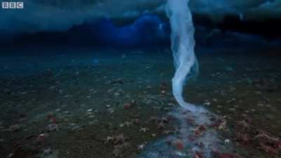 Brinicle formation, the "ice finger of death" beneath the Antarctic ice sheet