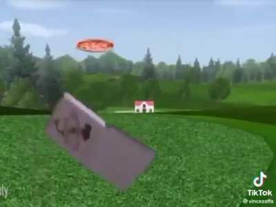 wii walter