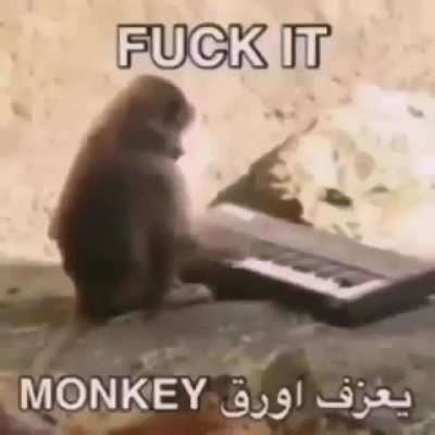 Hora de piano Haram kebab ala