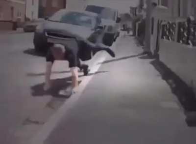 Funny compilation