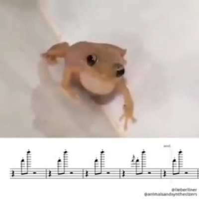 Someone sign this frog