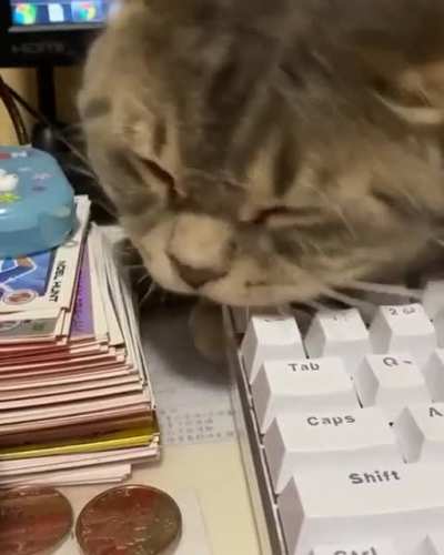 He just wants to Escape!!!