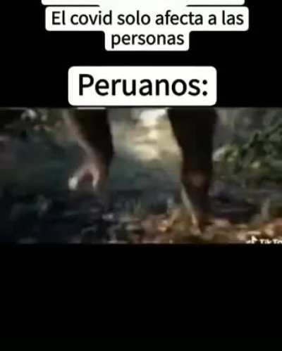 Se ven putos