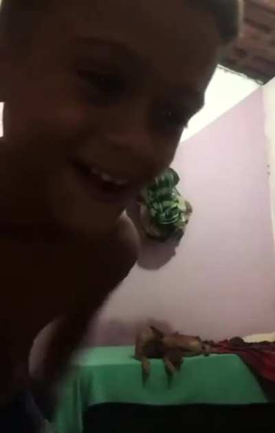 Palhacinho do chat? Bebezinho do chat?