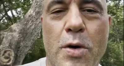 Toe is legitimately retarded