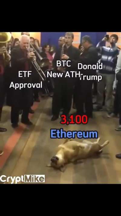 Damn it Vitalik do something