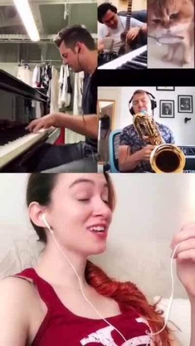 It&rsquo;s amazing what people can do with a cat video!