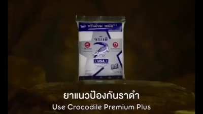 Caveman solves problems with crocodile