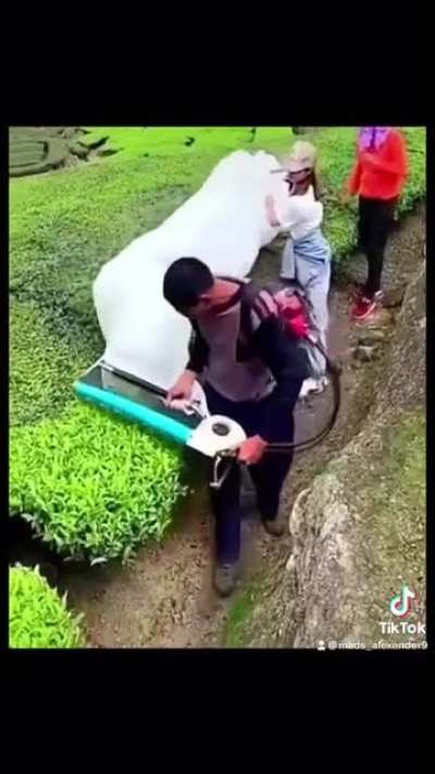 Modern agriculture an evolving approach to agricultural innovations and farming practices that help farmers increase efficiency